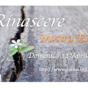 Rinascere – Mostra Evento 2020