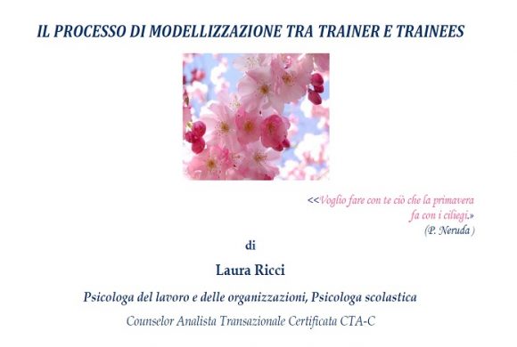 Il processo di modellizzazione tra trainer e trainees